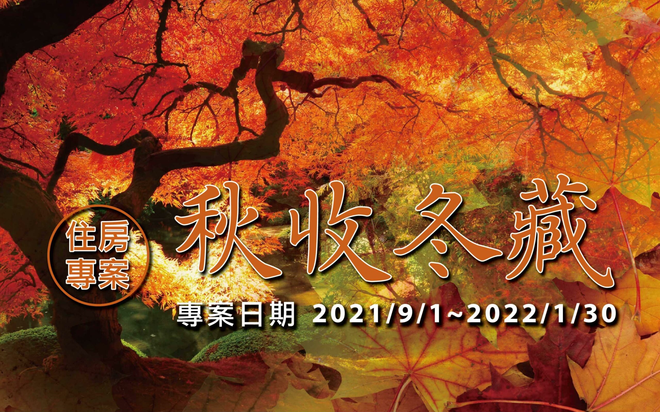 最新消息 大板根森林溫泉酒店